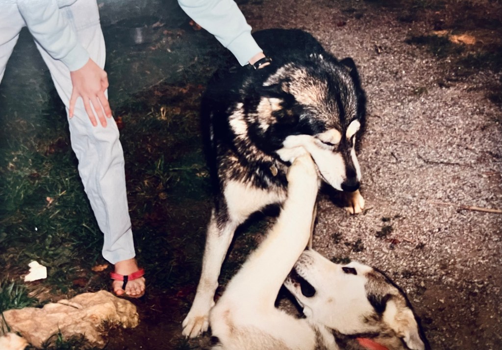 Reflections at Dawn: My Appalachian Roots and Life&nbsp;Lessons